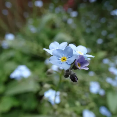 Dom U Artura Alloggio in famiglia