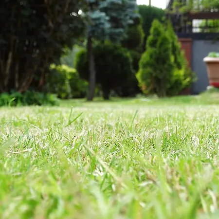 Dom U Artura Проживание в семье *