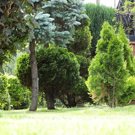 Alloggio in famiglia Dom U Artura Władysławowo