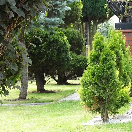 Dom U Artura * Владыславово