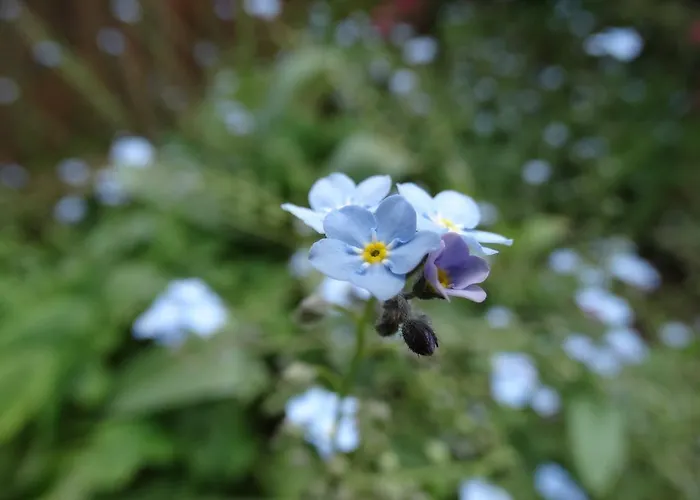 Dom U Artura Séjour chez l'habitant