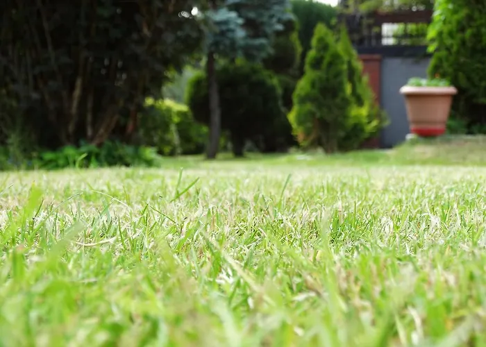 Dom U Artura Séjour chez l'habitant *